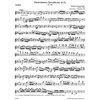Divertimento in E-flat major for Violin, Viola and Violoncello K.563