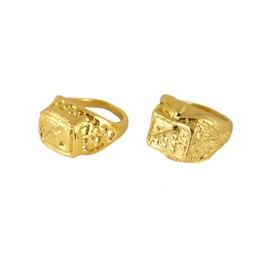 Lizzy 2 x Adult Gold Gangster Ring | Reusable Plastic 80s 90s Pimp Rapper Hip Hop Fancy Dress Costume Accessory Hip Hop Pop Music