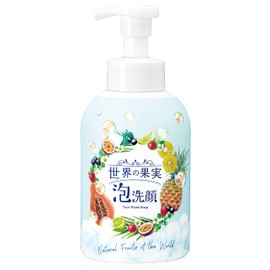 World Fruit Cleansing Foam Facial Cleansing Face Cleansing Pores No Additive Large Capacity Papain Enzyme Lava Clay Kakucha Cleanses Pores Deep In Pores Blended Beauty Ingredients Derived From Fruits