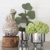 Dalton Silver Pot with Legs S G20-0203 Footed Pot