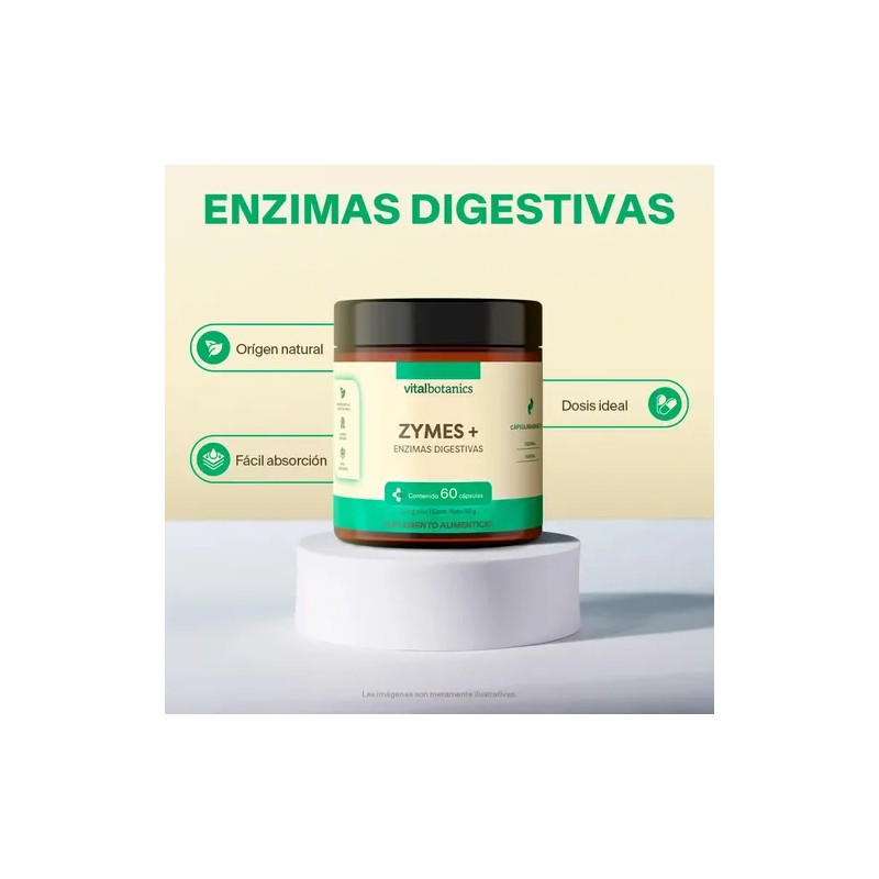 Enzimas Digestivas Con Papaya C/ 60 Caps | Vitalbotanics Sabor