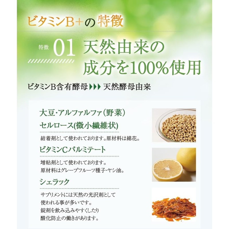 ニューサイエンス ビタミンB+ ビタミンB1 ビタミンB2 ビタミンB6 ビタミンB12 葉酸 酵母 無添加 GMP