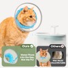 Cat Cone Collar Soft: Comfortable Waterproof Mesh Recovery Cone After