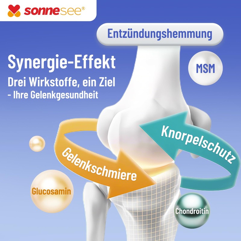 Joint Fit SonneSee Glucosamine + Chondroitin 1500 mg 16 Times