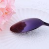 Bisda 5-Piece Purple Silverware Flatware Set Service for 1 Stainless