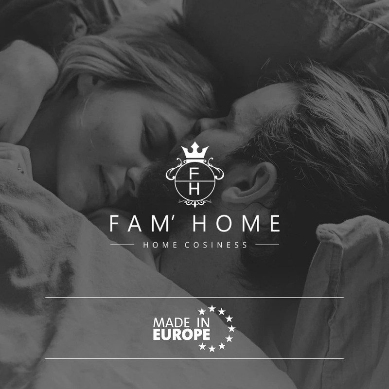 Fh Fam' Home Cosiness pillow set of 2 soft microfiber