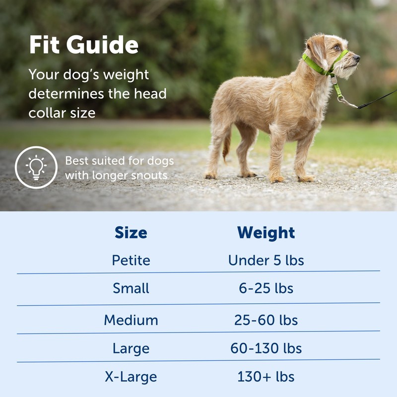 PetSafe Gentle Leader Head Collar, Small, Apple Green