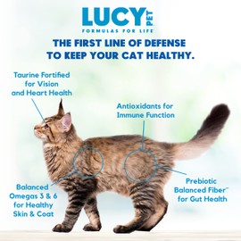 Lucy Pet Products Pet Chicken, Brown Rice & Pumpkin, LID Cat Food 4lb