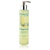 Quintessence Purifying Cleanser