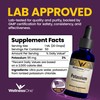WellnessOne Ionic Potassium Supplement - Potassium Chloride Drops for Fast