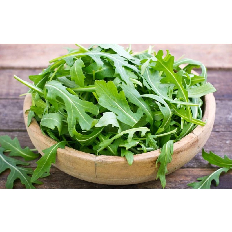 RAISE ME UP: Seeds Astro Arugula for Salad Non GMO