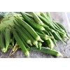 50 Perkins Long Pod Okra Seeds for Planting. Non GMO