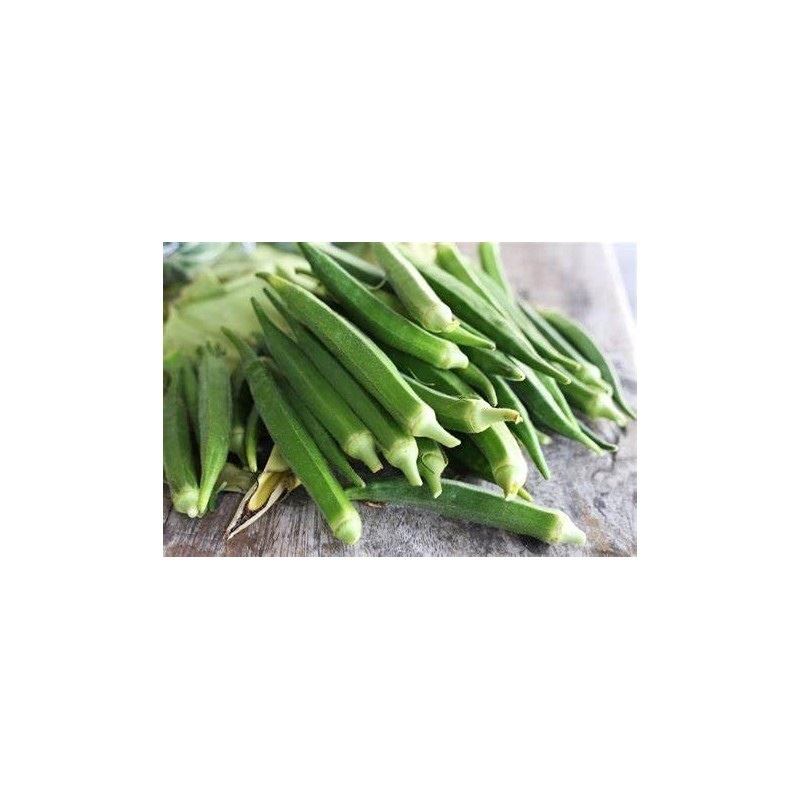 50 Perkins Long Pod Okra Seeds for Planting. Non GMO