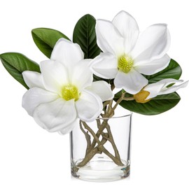 Briful Artificial Magnolia Flower Arrangement in Glass Vase 10'' White Fake Magnolia Silk Flowers with Vase Faux Flower Centerpiece for Home Office Dining Room Table Shelf Decor