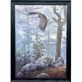 Daniel Smith "Shrouded Forest" "FRAMED ART Wildlife Eagle Soaring  USA  NEW!