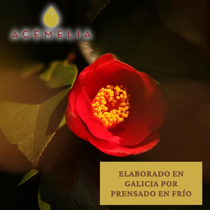 Organic Premium Camellia Oil - 50 ml - Natural Body