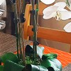 20 Pcs 18 Inch Natural Bamboo Plant Support Stakes for