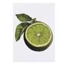 'Lime Wedge' Temporary Tattoo - Water Resistant, Skin-Safe, Non-Toxic Transfer