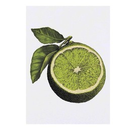 'Lime Wedge' Temporary Tattoo - Water Resistant, Skin-Safe, Non-Toxic Transfer (TO00076781)