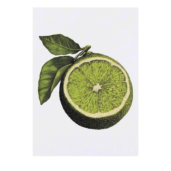 'Lime Wedge' Temporary Tattoo - Water Resistant, Skin-Safe, Non-Toxic Transfer