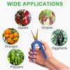 3Pcs Pruning Shears with Curved Blades Gardening Hand Pruning Snips