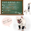 Due Felice Dog Rehabilitation Dog Joint Protector, Knee Support, Pet