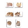 Hamsters/Dwarf Hamsters/Syrian Hamsters – 6 Rectangular Memo Board/Pinboard White Board