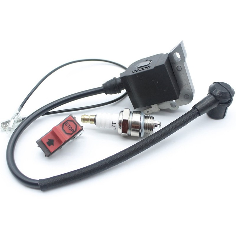 Replace Ignition Coil & On Off Stop Switch & Spark
