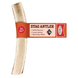 Primal Antlers for Dogs - Grade A Split Stag Antlers for Large Dogs 45-60 lb - Natural Dog Chews for Aggressive Chewers - Naturally Shed Antlers - Long Lasting Dog Bones - 1 ct