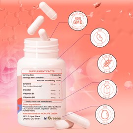 inGreens Prenatal Choline Supplement, 500mg, with Inositol, Bl, B6, Brain Development in Utero/Early Life, Increase The Choline Content in Breast Milk，30 Day Supply