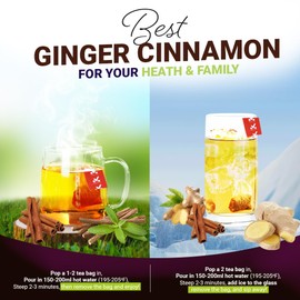 65 Premium Ginger Cinnamon Tea Bags, 3g/Bag, Handmade, Made with Natural Ingredients, Sugar/Caffeine/Gluten Free, Supports Digestion & Provides Soothing Warmth (60+5 Tea Bags)