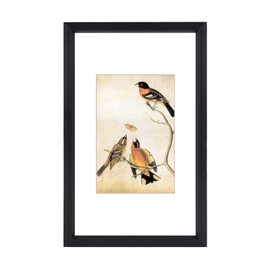 BKABOT 3x5 Picture Frame, Black Metal Photo Frames with HD Glass, Fits 2x3 with Mat or 3 x 5 without Mat, Display for Wall and Table, 1 Pack