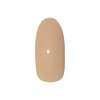 PREGEL PG-CEL30 Color EX Liner Milky Beige 0.1 oz (3