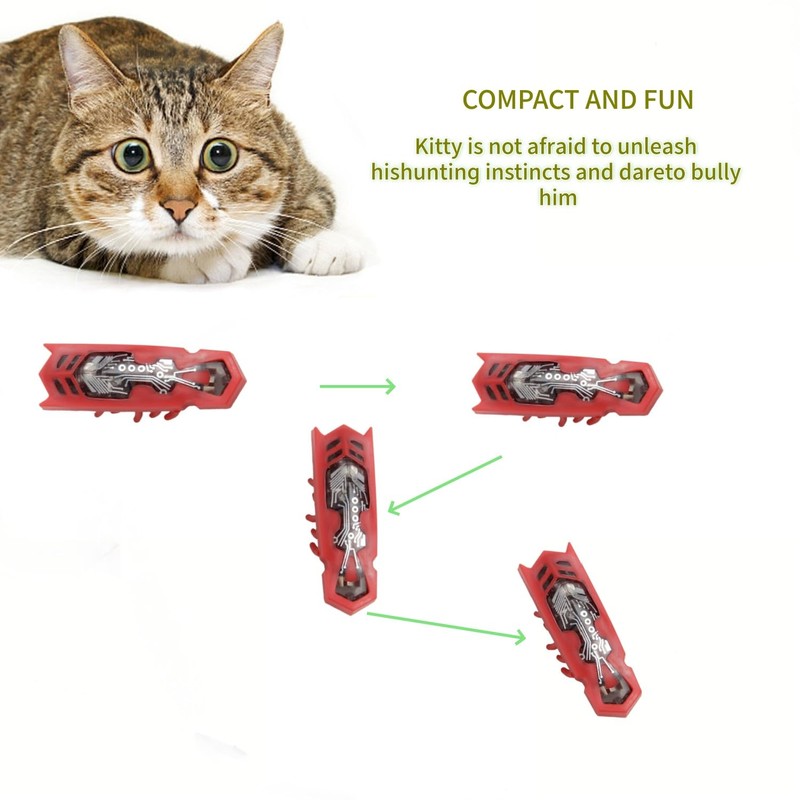 SHXMWINSY Cat Interactive Teaser Toys 2PCS Electric Moving Beetle Mini