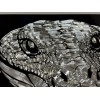 Diamond Etched Products Snake Head Diamond Etched Reflective Engraved License