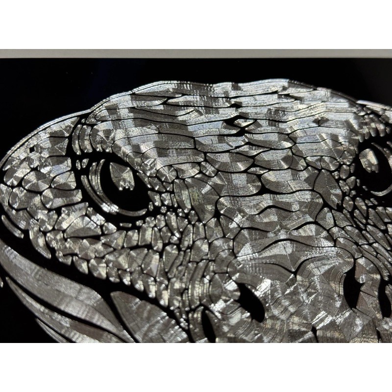 Diamond Etched Products Snake Head Diamond Etched Reflective Engraved License