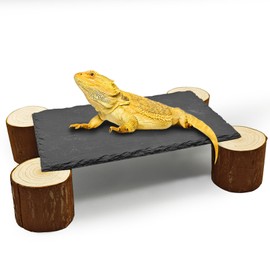 GXSDJ Bearded Dragon Basking Platform,10×6×2.4inch Reptile Heat Storage Slate Stone with Wooden Pile,Gecko Heating Rocks and Hide Cave,Reptile Basking Rocks for Lizards,Snakes,Chameleon,Turtle