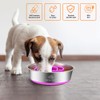 2-in-1 Metal Dog Bowl with Slow Feeder Insert, Stainless Steel