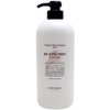 LebeL Natural Hair Treatment with RP Rice Protein, 24.3 fl oz (720 ml)