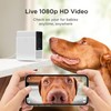 Petcube Cam The Pack of 2 | Indoor Wi-Fi Pet