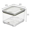 iDesign Small Fridge Produce Bin with Removable Drainage Tray and
