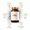 Zinc Capsules High Dose 20 mg - Liposomal Zinc with