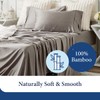 Cosy House Collection 100% Rayon Derived from Bamboo Pillowcase Set
