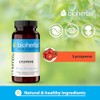 BIOHERBA LYCOPENE 20 mg 200 Capsules - High-Strength Antioxidant Supplement