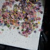 Set of 48 Handmade Mini Pressed Flowers, Dried Flowers, Small,