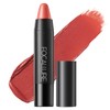 FOCALLURE Ultra Chic Matte Lipstick,Rich Vitamin E Lip Crayon,Lightweight Matte