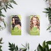 NATURTINT Biobased, ammonia-free colouration, 6.31 intense almond brown, 100% grey