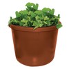 City Pickers Spud Tub Potato Grow Kit – Works Great