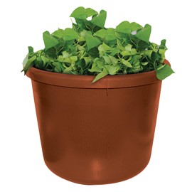City Pickers Spud Tub Potato Grow Kit – Works Great on Decks and Patios – Low Maintenance & High Potato Yields