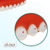 10 Paquetes de Soportes Dentales Cerámicos para Brackets Ortodónticos de